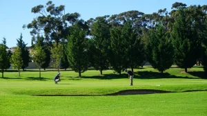 Rory McIlroy: Donald Trump presidency could 'clear the way' for PGA Tour/PIF deal