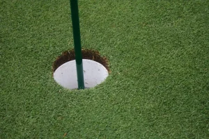 World Wide Technology Championship qualifiers include 18-year-old who won Tiger Woods' junior event in 2022